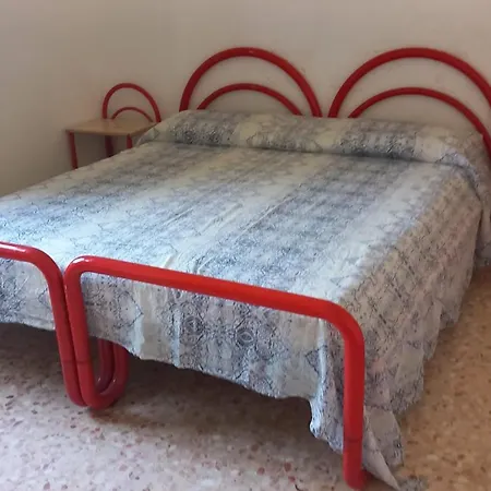 Il Vigneto *