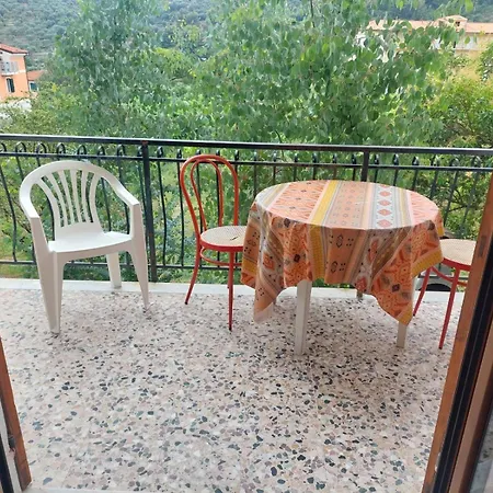 Il Vigneto *