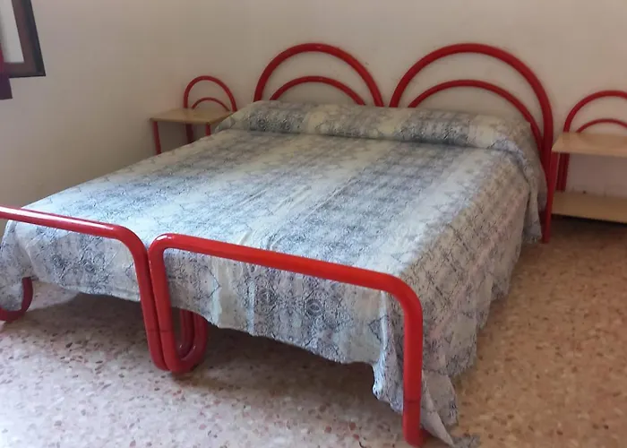 Il Vigneto *